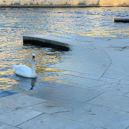 De Standing Avec Piscine A Debordement, Jacuzzi Et Jardin A 5 Min Du Centre De Villa Nîmes